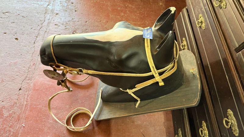 Caballo de Cabeza con Freno y Riendas - imagen 5