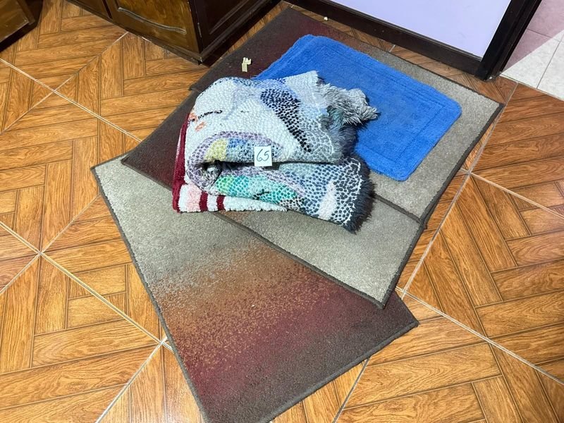 Alfombras y tapetes variados en buen estado - imagen 2