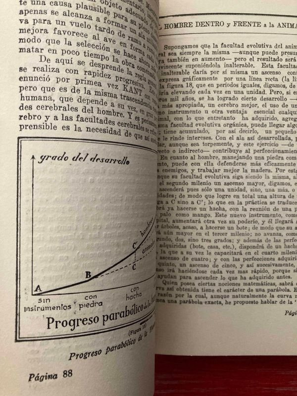 Item 871730 - Image 1