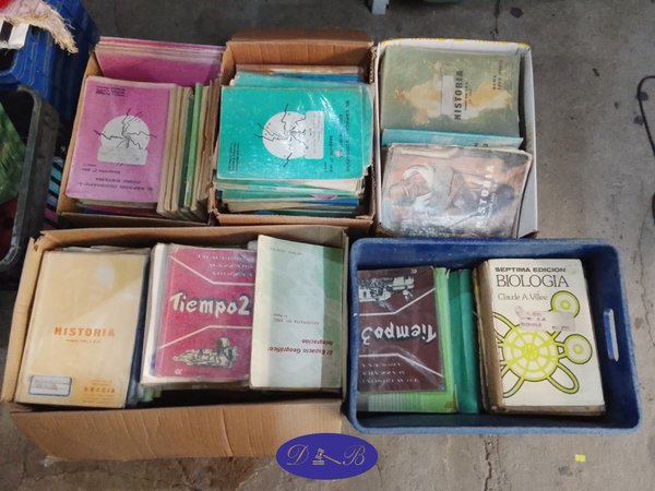 Lote de Varias Cajas con Libros Diversos