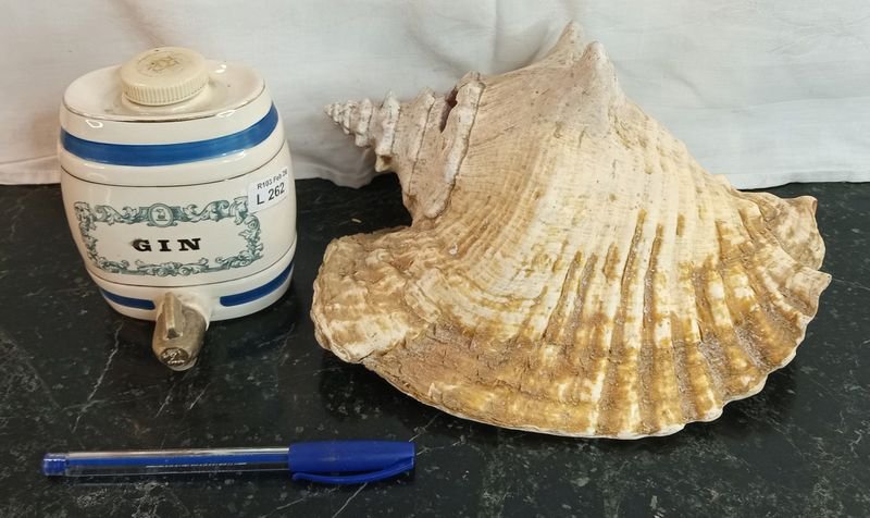 Item 880042 - Image 0