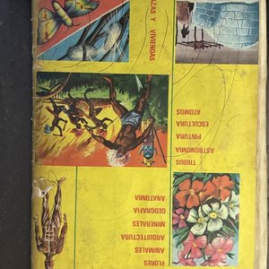 Álbumes "Vida y Color" Colección Enciclopédica Ilustrada - imagen 11