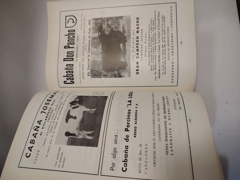 Item 901608 - Image 7