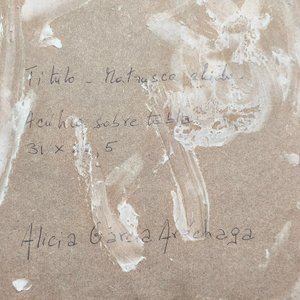 Obra "Mamushka alada" de Alicia García Arechaga, acrílico sobre fibra con marco vitrina - imagen 12