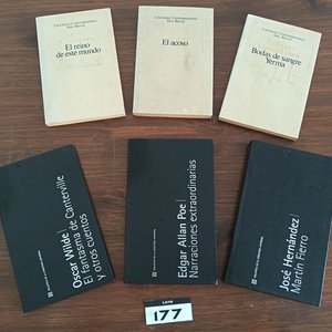 Lote de 12 Libros de Literatura Universal, Clásicos y Contemporáneos - imagen 5
