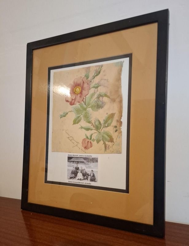 Item 856348 - Image 0