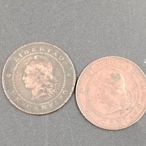 Argentina: Lote de 2 Monedas de 1 Centavo (1883 y 1884) en Bronce - imagen 3