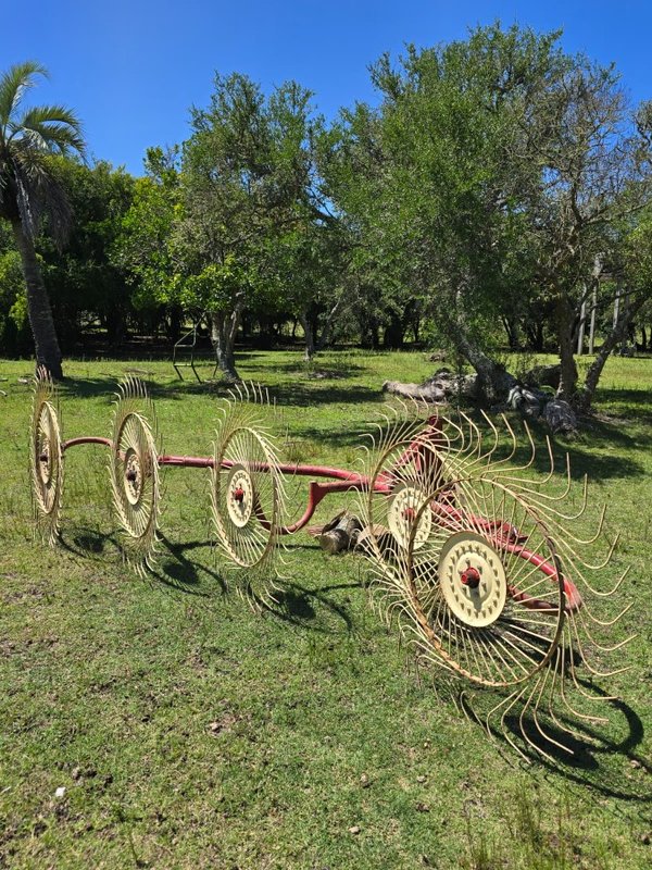 Segadora Minos Agri 165 y Rastrillo de 4 soles - imagen 6
