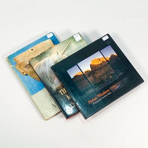 Lote anterior: Tres Tomos de Arte y Fotografía: Paisajes, Unicornios y Arte Mexicano