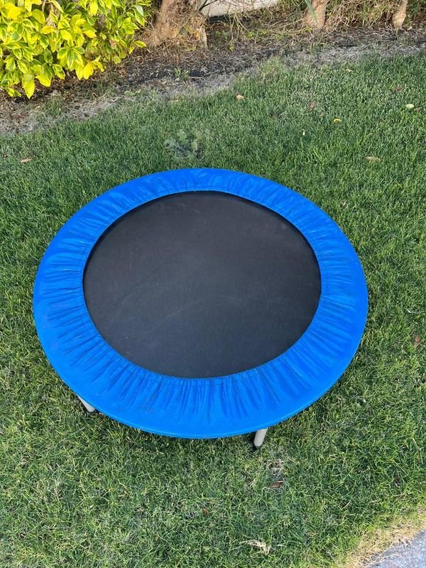 Cama Elástica para Niños - imagen 4