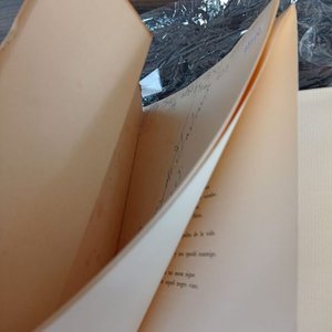 Elegía de 1967 de Juana de Ibarbourou con Firma de Autor - imagen 4