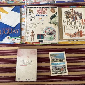 Lote siguiente: Lote de 5 Libros: Uruguay, Historia Universal, Biblia Ilustrada y Más