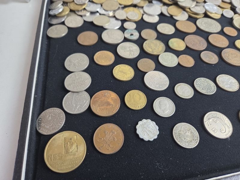 Item 872043 - Image 8