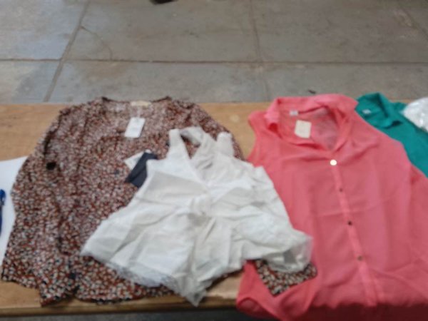 Lote de 26 Prendas: Blusas, Kimonos y Vestidos
