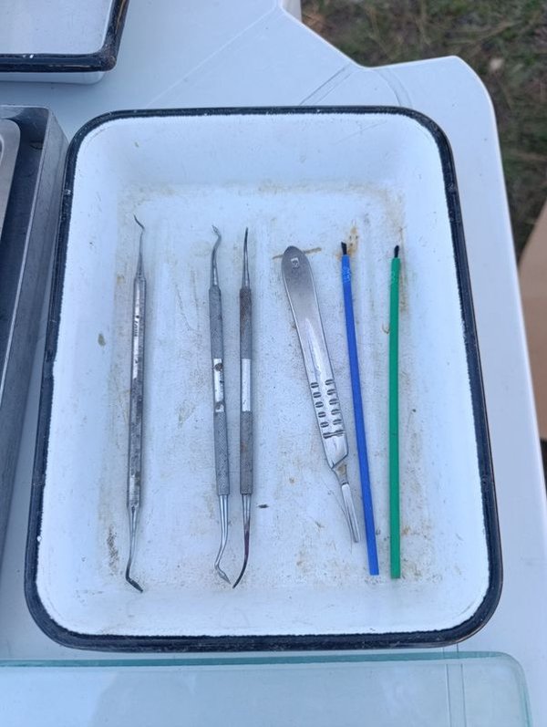 Equipos Médicos y de Salud - Instrumentos Odontológicos - imagen 2