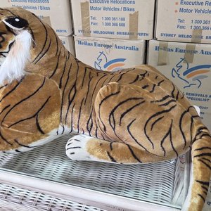 Peluche Gigante Tigre Realista Como Nuevo - imagen 4