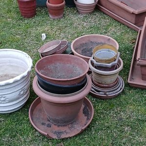 Lote de Macetas de Cerámica y Plástico para Jardín - imagen 3