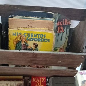 Lote de Libros de Estudio, Colecciones y Textos Varios - imagen 11