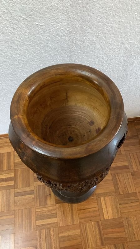 Lote anterior: Pieza de madera petrificada rara