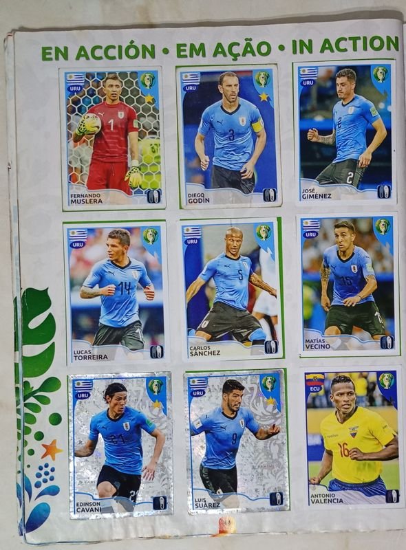 Item 868649 - Image 3