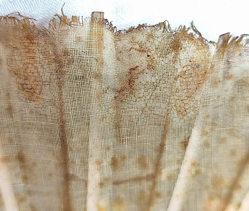 Antiguo abanico en hueso o similar pintado a mano con detalles lógicos por su edad - imagen 6