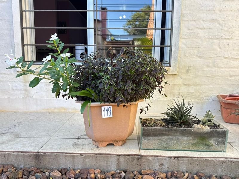 Item 892375 - Image 0