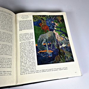 Dos Tomos "Historia de la Pintura" Editorial Vergara Barcelona - imagen 8