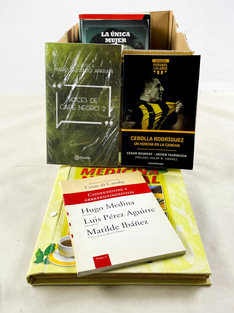 Lote de Libros y Revistas Variadas