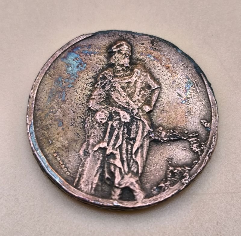 Lote anterior: Medalla de Tammaro en Metal con Diseño Gaúcho