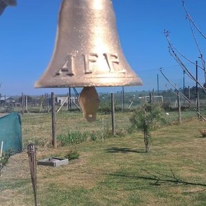 Campana Antigua de Bronce con Inscripción AFE - imagen 1