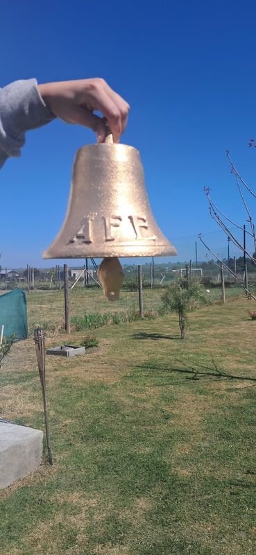 Campana Antigua de Bronce con Inscripción AFE
