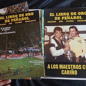 Colección Completa "El Libro de Oro de Peñarol" Fascículos Editorial Elcar - imagen 6