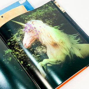 Tres Tomos de Arte y Fotografía: Paisajes, Unicornios y Arte Mexicano - imagen 3
