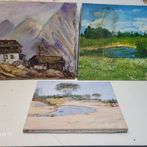 Lote anterior: 3 Cuadros al Óleo: Paisajes Montañosos, Laguna y Costa Firmados