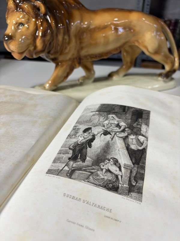 Libros antiguos con estatuas de león y oso polar - imagen 5