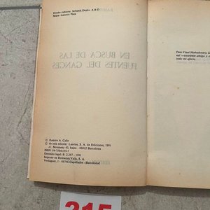 En Busca de las Fuentes del Ganges por Ramiro A. Calle - Relato de Viaje India 1991 - imagen 2
