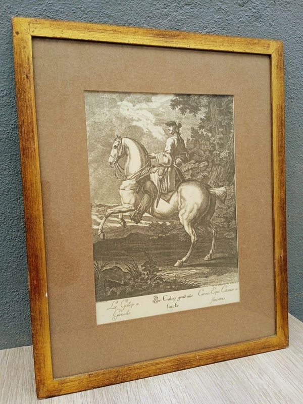 Item 884226 - Image 0