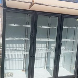 Botellero Refrigerador de 3 Puertas en Impecable Estado - imagen 2
