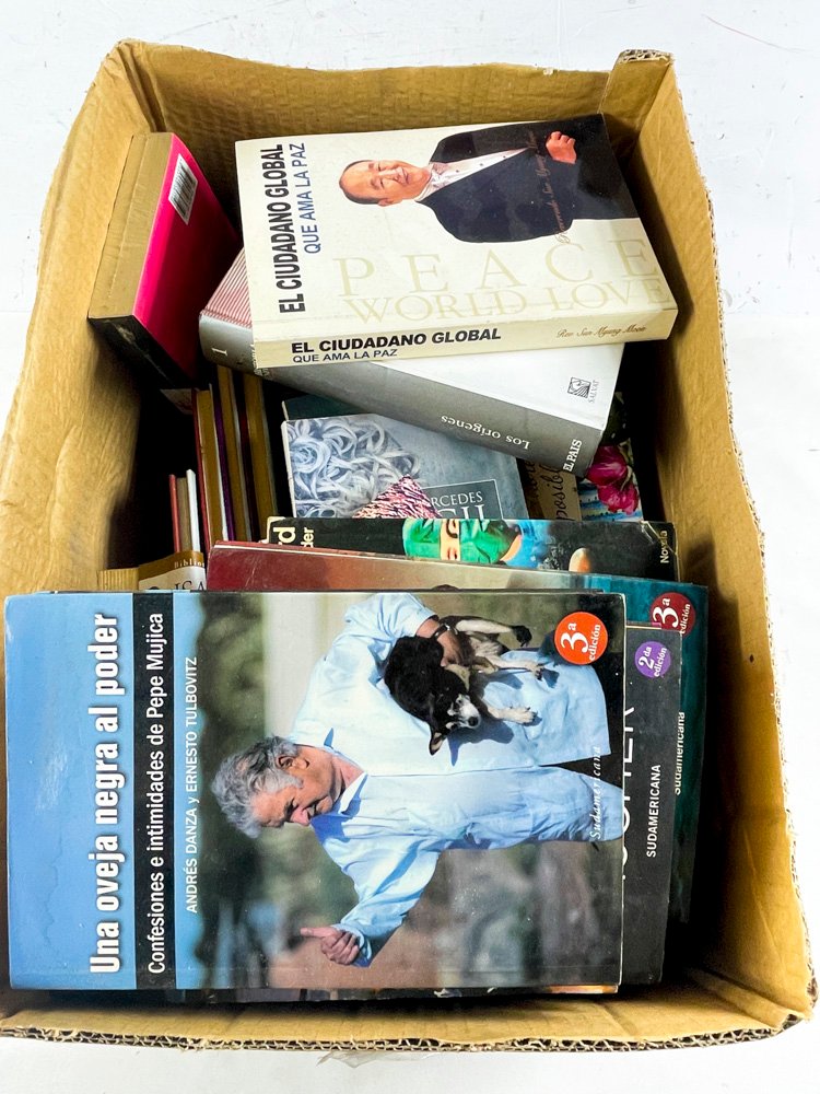 Lote de Libros Variados