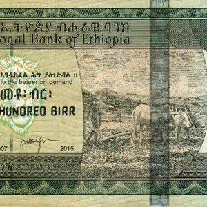 Billete de 100 Birr de Etiopía - National Bank of Ethiopia - imagen 2