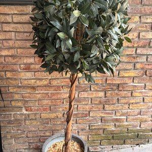 Lote siguiente: Árbol Decorativo Artificial con Maceta Gris