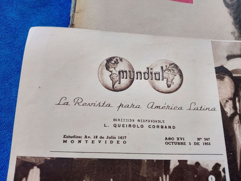 Item 882046 - Image 6