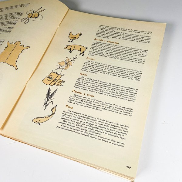Libro del Sesquicentenario de 1830: Un libro histórico en excelente condición - imagen 3