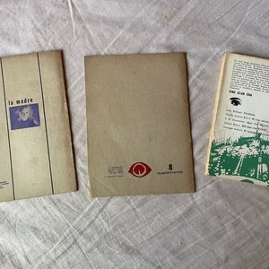 Libro y Cine Soviético: "La Madre" y "El Acorazado Potemkin" - imagen 1