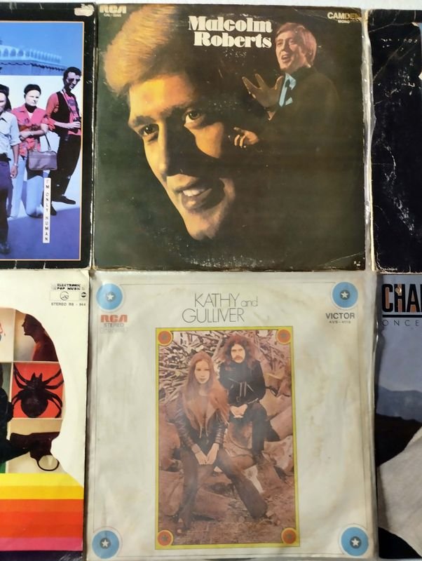 Colección de Vinilos de 33 RPM de Artistas Variados - imagen 2