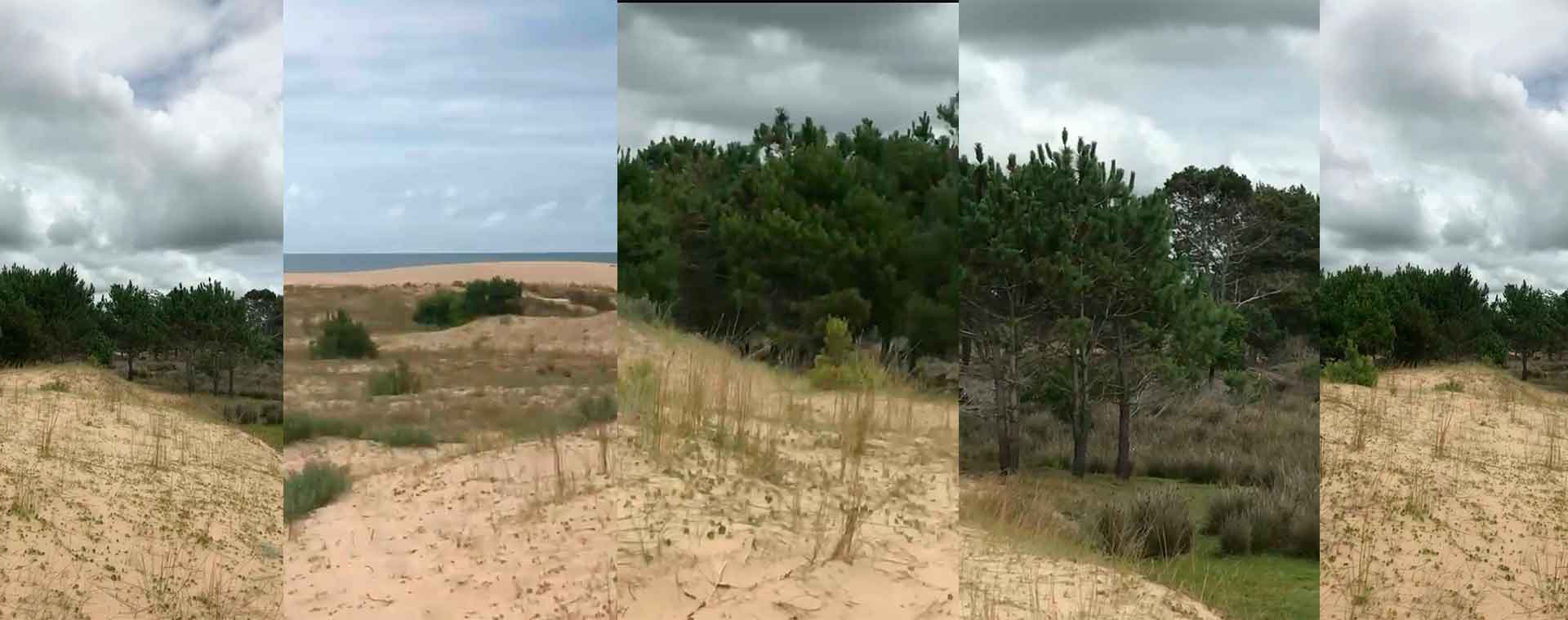 42 Solares balneario Montecarlo (Rocha) en un solo padrón - Propiedades de lujo