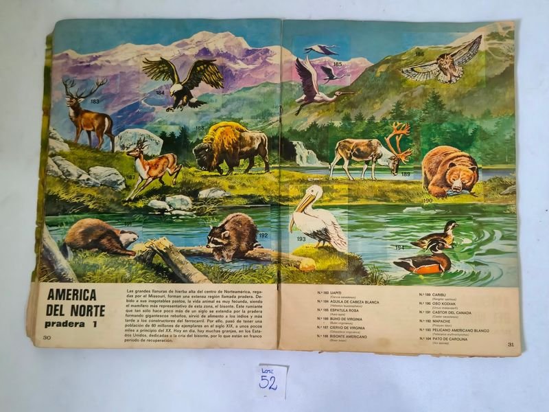 Item 844753 - Image 15