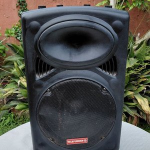 Parlante Profesional Telefunken con Ruedas y Manija - imagen 4