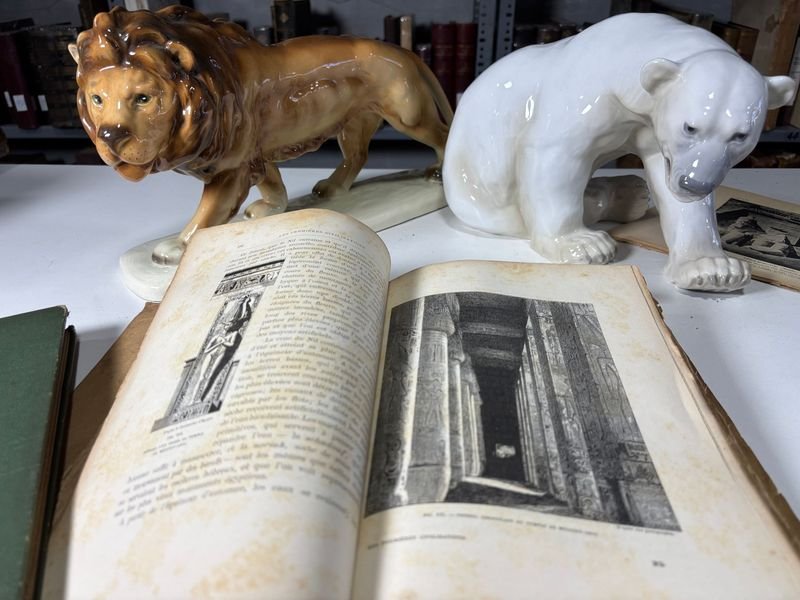 Libros y estatuas egipcias de la Revista del Viaje a Egipto - imagen 5