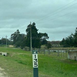 Remate de Campo en Palermo, Uruguay - imagen 4
